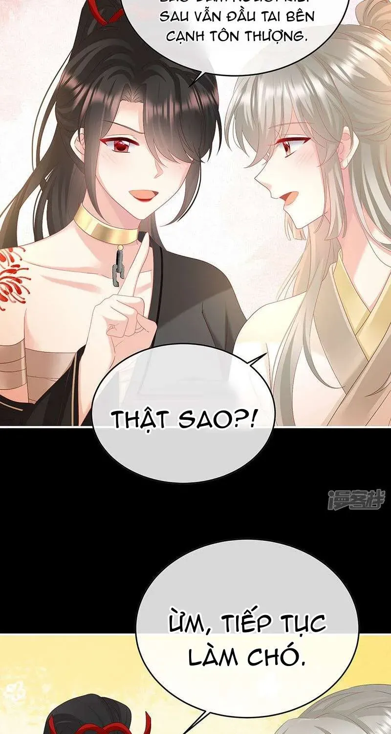 Chapter 146 trang 41